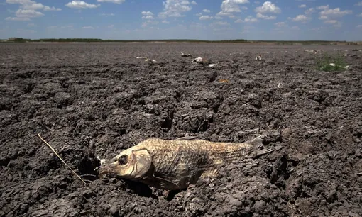10 most devastating droughts in history 5
