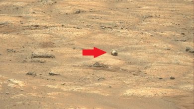 An artificially created object has been found on Mars 1