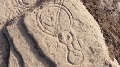 Ancient Pictish stone covered with patterns found in Scotland 1