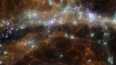 Cosmic web connecting the universe forms dark matter in galaxies study shows