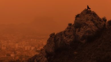 Dust storms from the Sahara hit Europe 1
