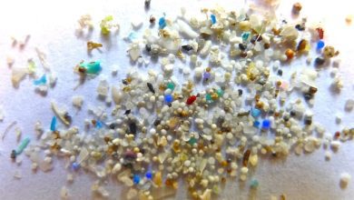 Microplastic particles found in the blood of healthy people