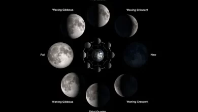 Moon phases 2022 what will the lunar cycles be like this year 1