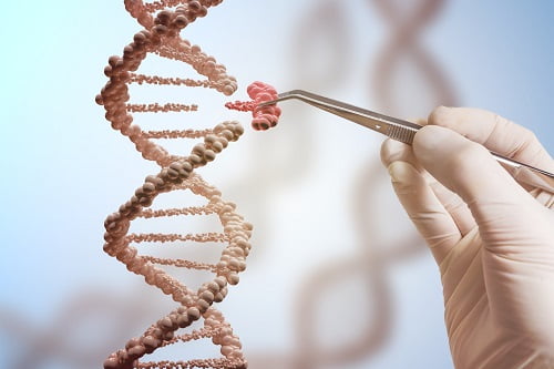 More evidence found that genetic mutations are not random