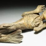 Mummified mermaid to be analyzed by Japanese scientists