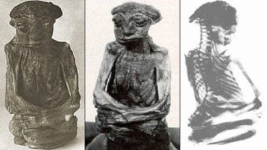 Mystery of the Mummy Discovered in the San Pedro Mountains 1