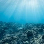 New theory suggests a way ocean microbes and minerals could oxygenate Earth