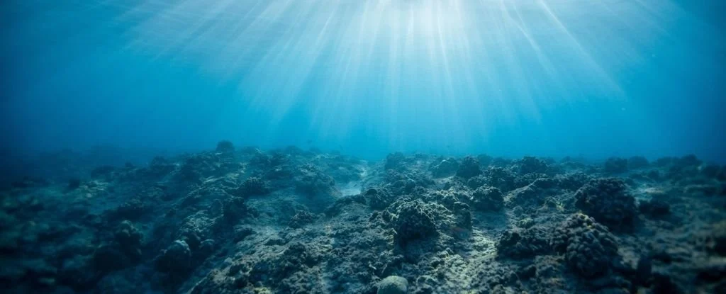 New theory suggests a way ocean microbes and minerals could oxygenate Earth