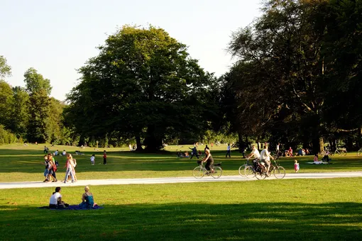 Parks and green spaces close to home can reduce stroke risk by 16 2