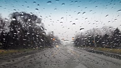 Physicists explain the mesmerizing movement of raindrops on a car windshield