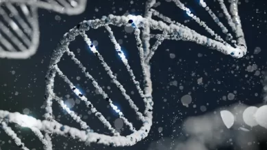 Reluctance to have children may be explained by human genes 1