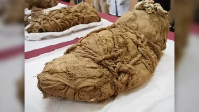 Remains of ancient child sacrifice victims found near 1000 year old mummy in Peru