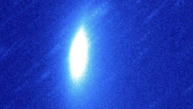 Scientists discover distant long period comets quickly fade away