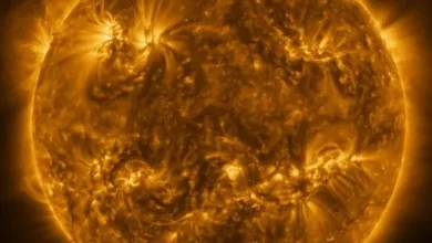 Solar Orbiter sent back to Earth the most detailed picture of the Sun in the world 1