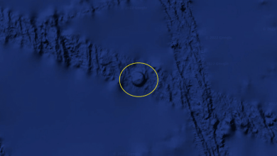 Users found UFO on Google Earth images