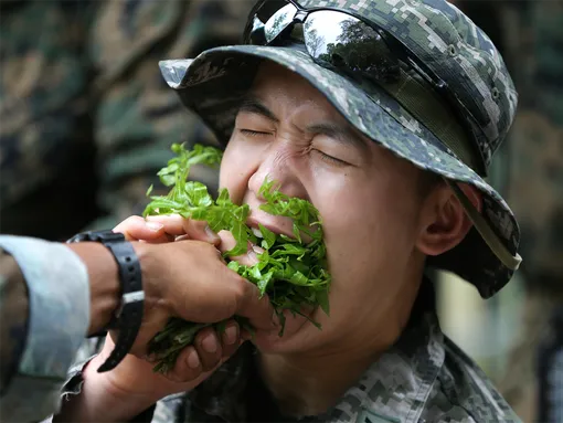 What do soldiers eat in different armies of the world 3