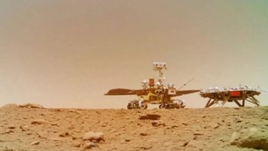 What is stronger Martian soil or lunar regolith 1