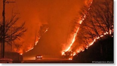 Wildfire triggers mass evacuation in South Korea