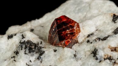 Zircon grains contain information about the early history of the Earth