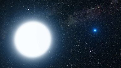 12 New Semi Split Massive Binary Stars Discovered in Galaxy M31