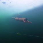 A woman swam 90 meters under the ice and got into the Guinness Book of Records