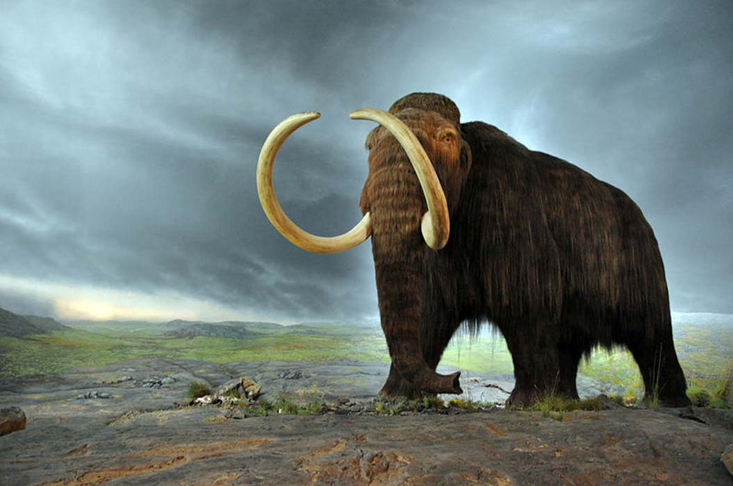 Amazing Stone Age Knowledge Found on a Mammoth Bone Bracelet 1