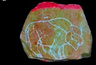Ancient stone engravings may be an extremely early form of animation
