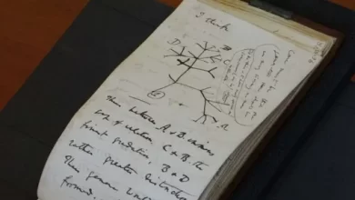 Anonymous returned the stolen notebooks of Charles Darwin after 20 years He left a short message to the librarian 1
