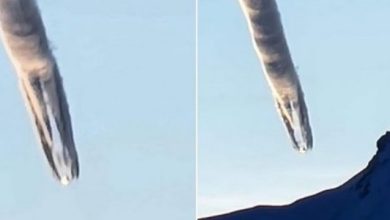 Appearance of an air anomaly over Alaska sparked speculation about UFOs 1