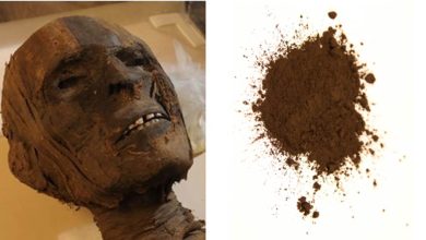 Brown mummy 16th century paint made from crushed mummies 1