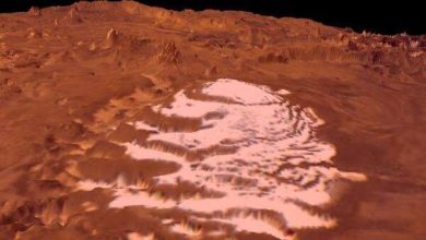 Carbon dioxide glaciers move at the South Pole of Mars