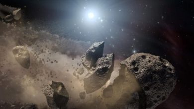 Could life on earth originate on asteroids 1