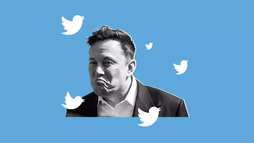 Elon Musk invested in Twitter and Tesla fell in price