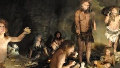 First evidence of early Neanderthal extinction found in Spain