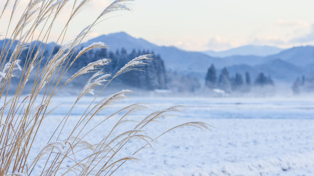 Hottest and coldest days in history