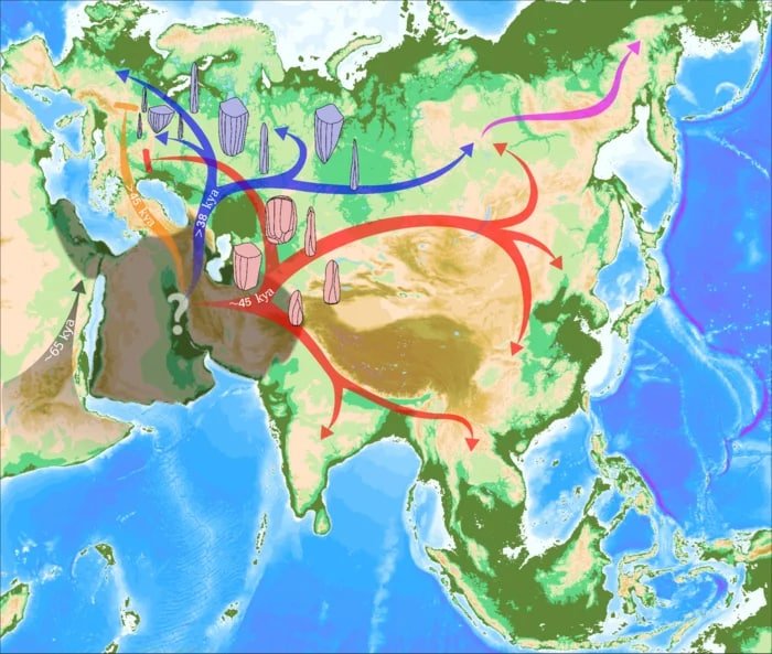 Human ancestors migrated differently than previously thought 2