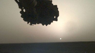 InSight probe sent a photo of the sunrise on Mars