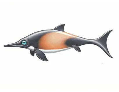Largest early ichthyosauromorph found