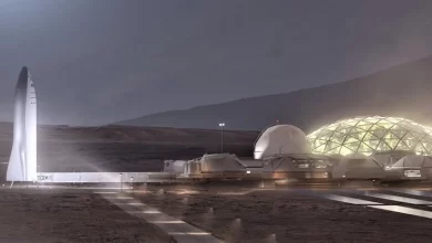 Life on Mars will be dangerous hard work says Elon Musk