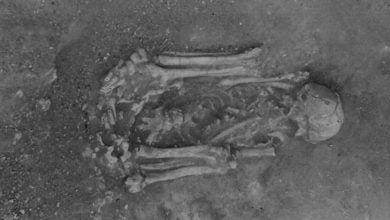Lost excavation photographs reveal 8 000 year old mummified remains from Europe 1