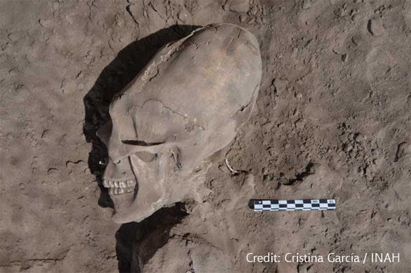 Mystery of 13 Alien Skulls Found in Mexico 2