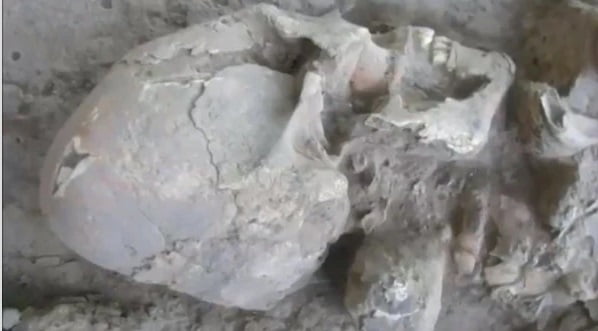 Mystery of 13 Alien Skulls Found in Mexico 3