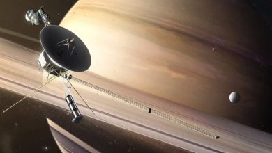 NASAs Voyager 1 spacecraft likely to outlive Earth 1