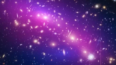 New theory suggests dark matter could be an extra dimensional space refugee