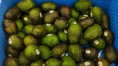 One avocado a week reduces the risk of heart disease by 20