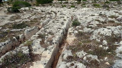 Prehistoric roads through Malta defy explanation Wheel ruts at Misrah Ghar il Kbir 1
