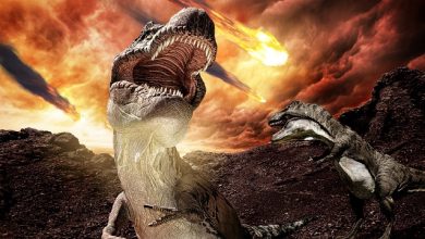 Scientists discover fragments of asteroid that wiped out dinosaurs 66 million years ago 1