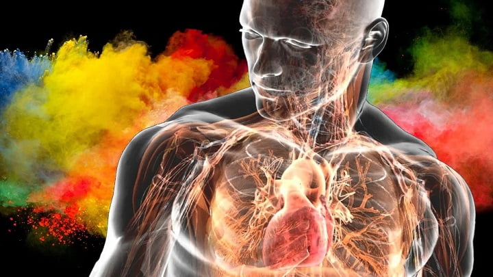 Scientists have named 6 superpowers of the human body