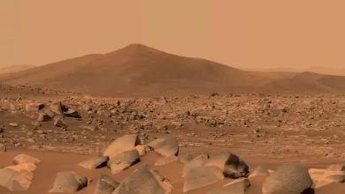 Scientists talk about sound anomalies on Mars