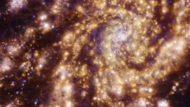Stunning new simulation shows how light came to be in our universe